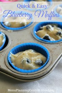 Quick and Easy Blueberry Muffins