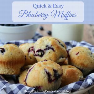 Quick and Easy Blueberry Muffins