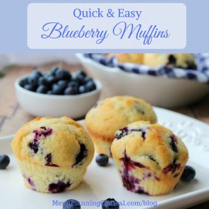 Quick and Easy Blueberry Muffins