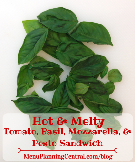 Hot & Melty Tomato, Basil, Mozzarella, & Pesto Sandwich