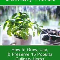 Culinary Herb Gardening