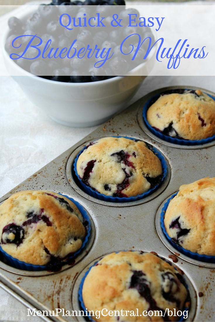 Quick And Easy Blueberry Muffins