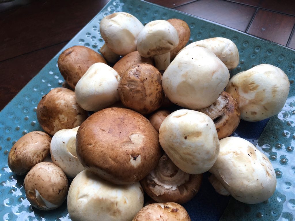 mixed mushrooms